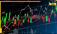 新西兰6月服务业表现指数为40